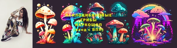apvp Краснотурьинск