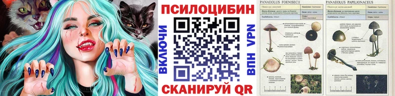ОМГ ОМГ маркетплейс  Новодвинск  Галлюциногенные грибы Cubensis 
