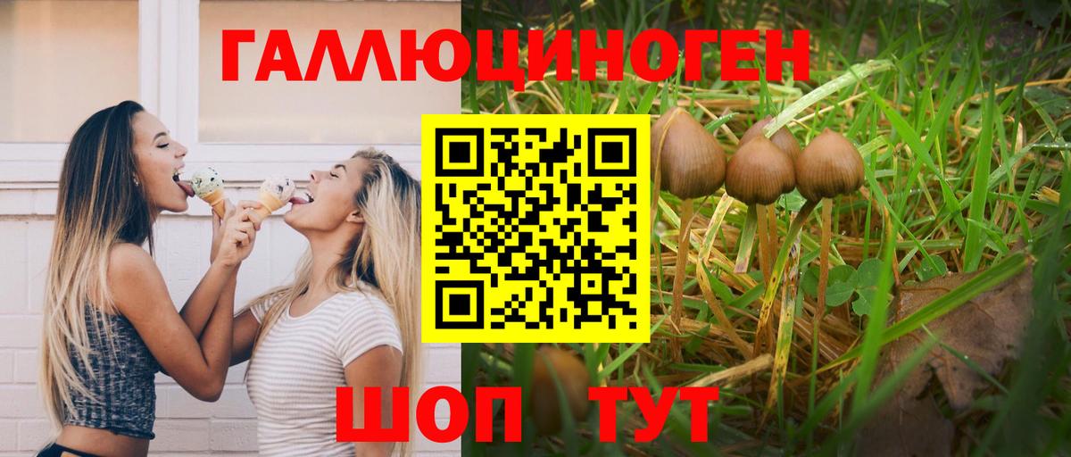 Галлюциногенные грибы MAGIC MUSHROOMS  Вход с VPN  Новодвинск 