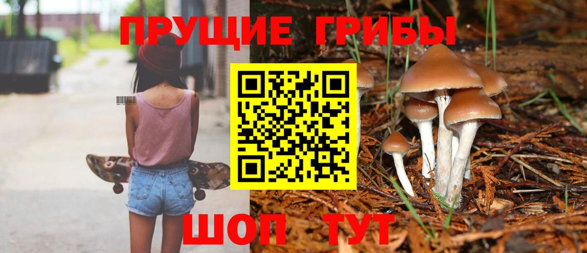 Галлюциногенные грибы ЛСД Новодвинск